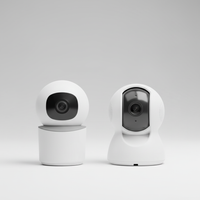 1080p HD Überwachungskamera - RoomShield