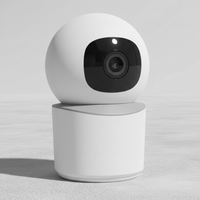 1080p HD Überwachungskamera - RoomShield