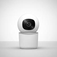 1080p HD Überwachungskamera - RoomShield