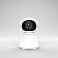 1080p HD Überwachungskamera - RoomShield