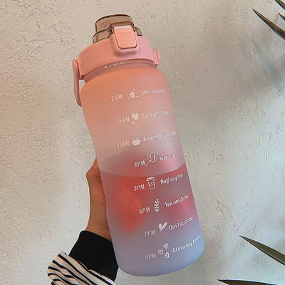 Wasserflasche | 2L | Zeitmarkierung | Langlebig | Trinkhalm | Praktisch | Vielseitig-Matt Rosa-Blau-Luzern Mode