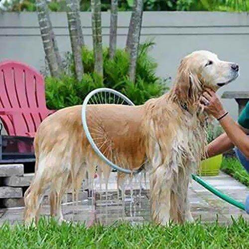 Hundewascher | 360° Vielseitig Schnell Langlebig Wasserdicht Komfort 2-in-1-Luzern Mode