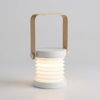 Adjustable Tabletop Lamp - Solvian