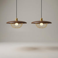 Adjustable Height Ceiling Light -  Skylure