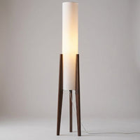Ambient Living Room Light -  Havenara