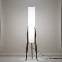 Ambient Living Room Light -  Havenara