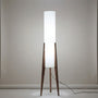 Ambient Living Room Light -  Havenara