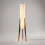 Ambient Living Room Light -  Havenara