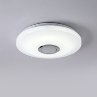 App Controlled Ceiling Light -  Radiomuse