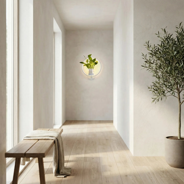 Circular LED Wall Sconce With Planter -  Botaniqua