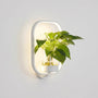 Circular LED Wall Sconce With Planter -  Botaniqua