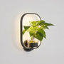 Circular LED Wall Sconce With Planter -  Botaniqua