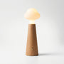 Cloud-Shaped LED Table Lamp -  Lumette