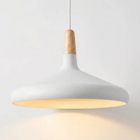 Conical Pendant Light -  Lumella