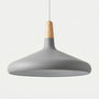 Conical Pendant Light -  Lumella