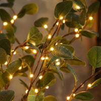 Decoratieve Verlichte Takken Met Natuurlijke Uitstraling - Twiglight