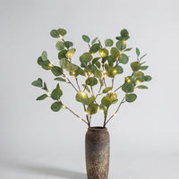 Decoratieve Verlichte Takken Met Natuurlijke Uitstraling - Twiglight