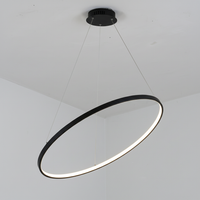 Design Leuchte Für Wohnräume - Circolite