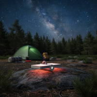 Faltbare USB Laterne - NightFold