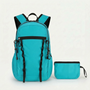 Faltbarer Tagesrucksack - Roamet
