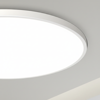 Flache Minimalistische Deckenlampe - AuraSphere