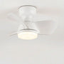 Flush Mount Ceiling Fan -  AeroLume