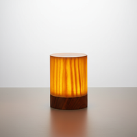 Holzoptik Stimmungsleuchte - Luminraft