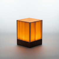 Holzoptik Stimmungsleuchte - Luminraft
