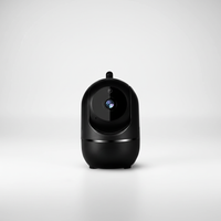 Kompakte Indoor Kamera - NestGuard