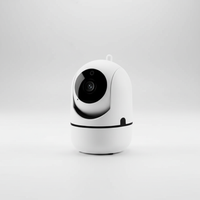 Kompakte Indoor Kamera - NestGuard