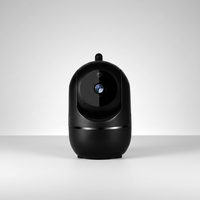 Kompakte Indoor Kamera - NestGuard