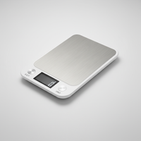 Küchenpräzisions Digitale Waage - PrecisiWeigh