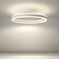 LED Deckenleuchte Metall Acryl - Glowhalo