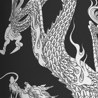 Leichter Bademantel Mit Druck - DragonCoat