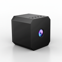 Magnetisch Montierbare Mini Kamera - QuietView