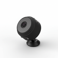 Mini Wlan Innenkamera - MagniCam