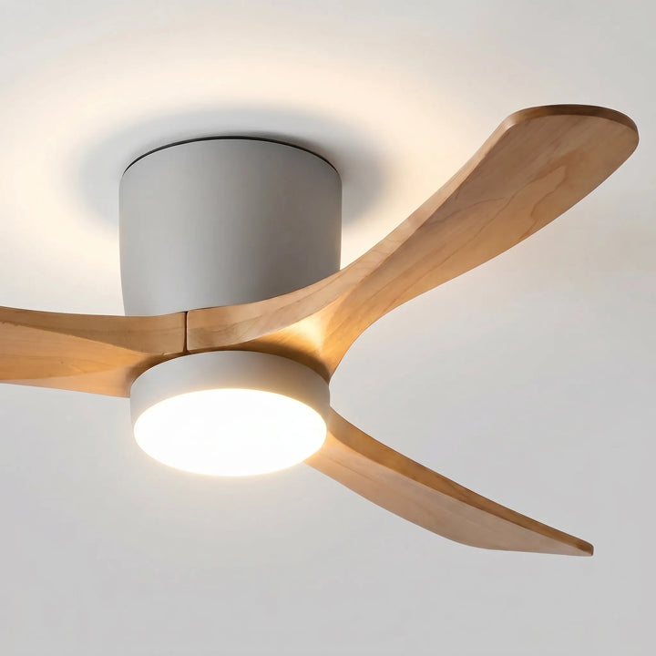 Modern Ceiling Fan -  Aeralis