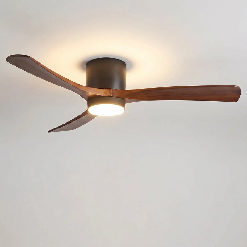 Modern Ceiling Fan -  Aeralis