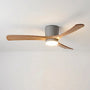 Modern Ceiling Fan -  Aeralis