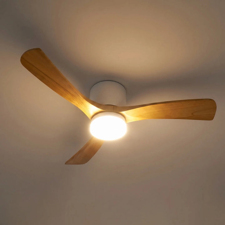 Modern Ceiling Fan -  Aeralis