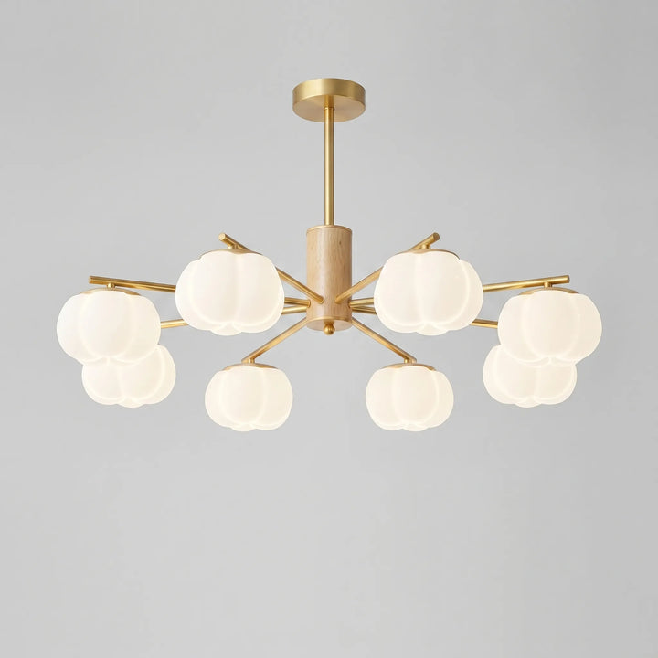 Modern Multi-Arm Ceiling Chandelier -  Luminaar
