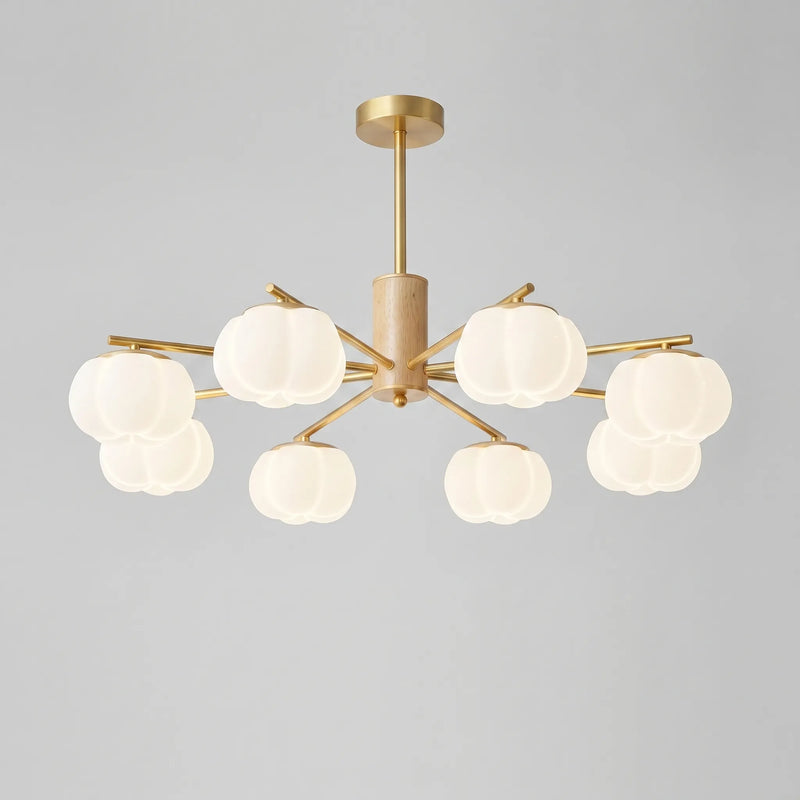 Modern Multi-Arm Ceiling Chandelier -  Luminaar