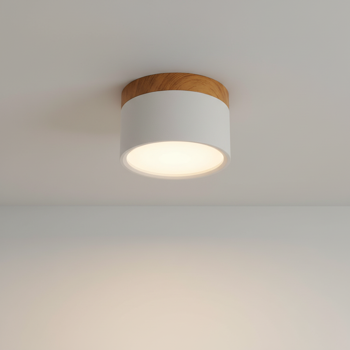 Moderne Deckenleuchte Metall Acryl - Ceilora