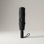 Opvouwbare Reisparaplu Lichtgewicht - TravelBrolly