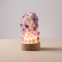 Organic Crystal Inspired Lamp -  Tranquess