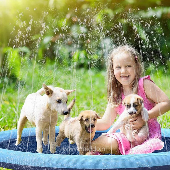 Spielbereich mit Wasserstrahlen – SplashZone