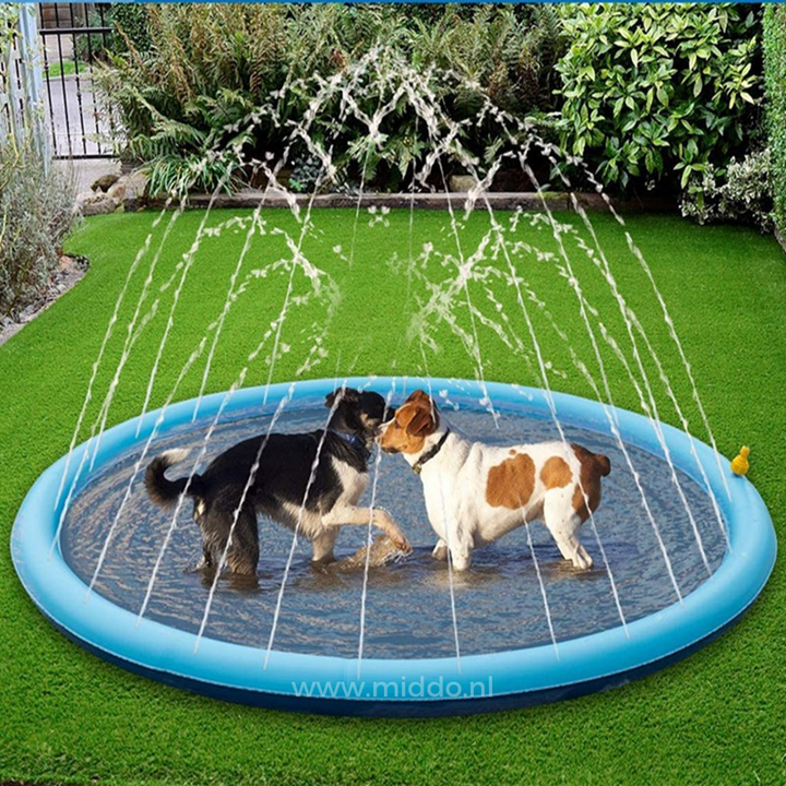 Spielbereich mit Wasserstrahlen – SplashZone