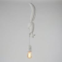 Playful Hanging Pendant Light -  Squirlune