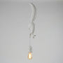 Playful Hanging Pendant Light -  Squirlune