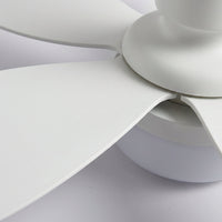 Remote Controlled Ceiling Fixture - SkyeLight